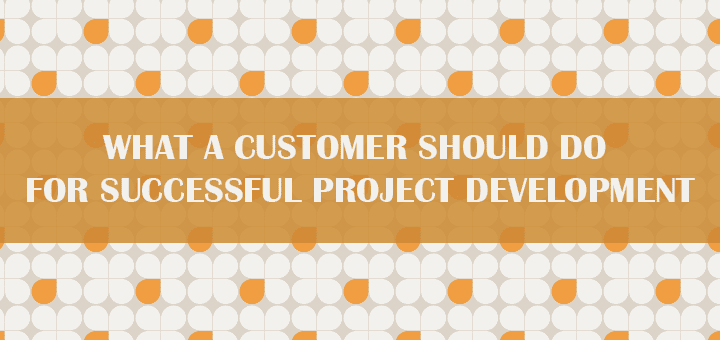 What a Customer Should Do for Successful Project Development