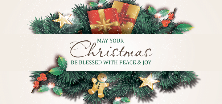 Merry Christmas from Rubyroid Labs Team!