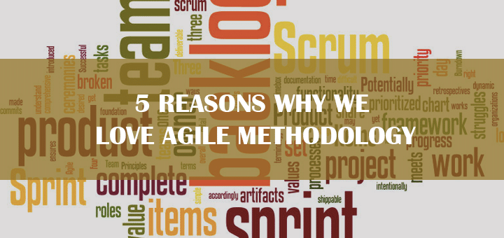 5 Reasons Why We Love Agile