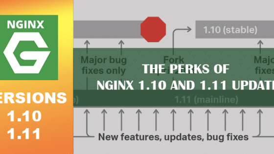 The Perks of NGINX 1.10 and 1.11 Update