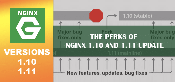 The Perks of NGINX 1.10 and 1.11 Update